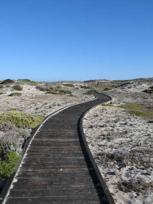 Boardwalk to ocean at Sewing Vacation in Monterey Bay, CA